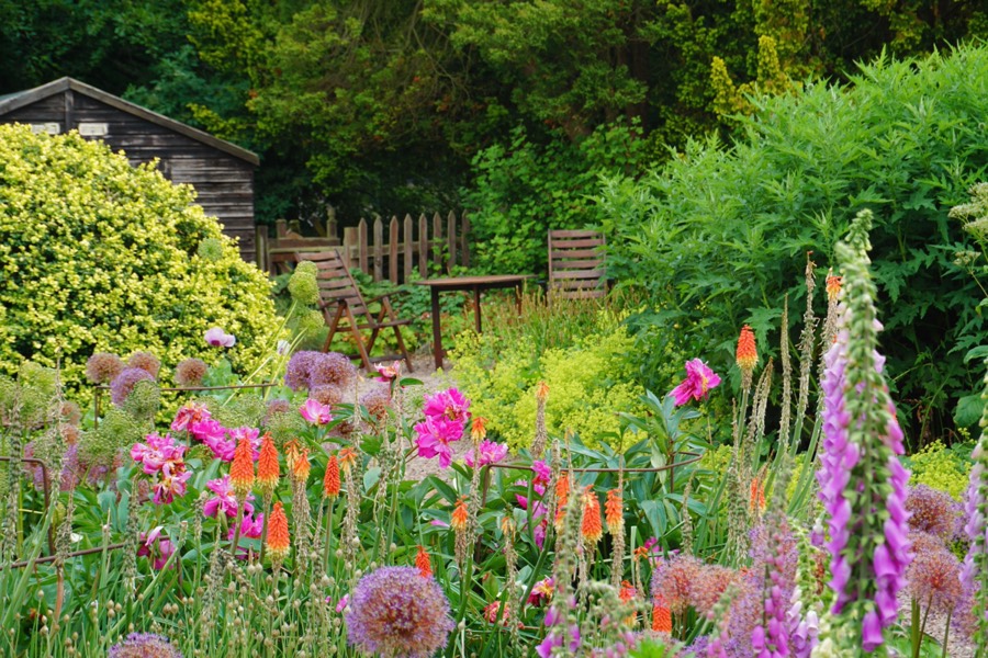 Bordure fleurie de pivoines, tritomas et digitales devant un abri de jardin