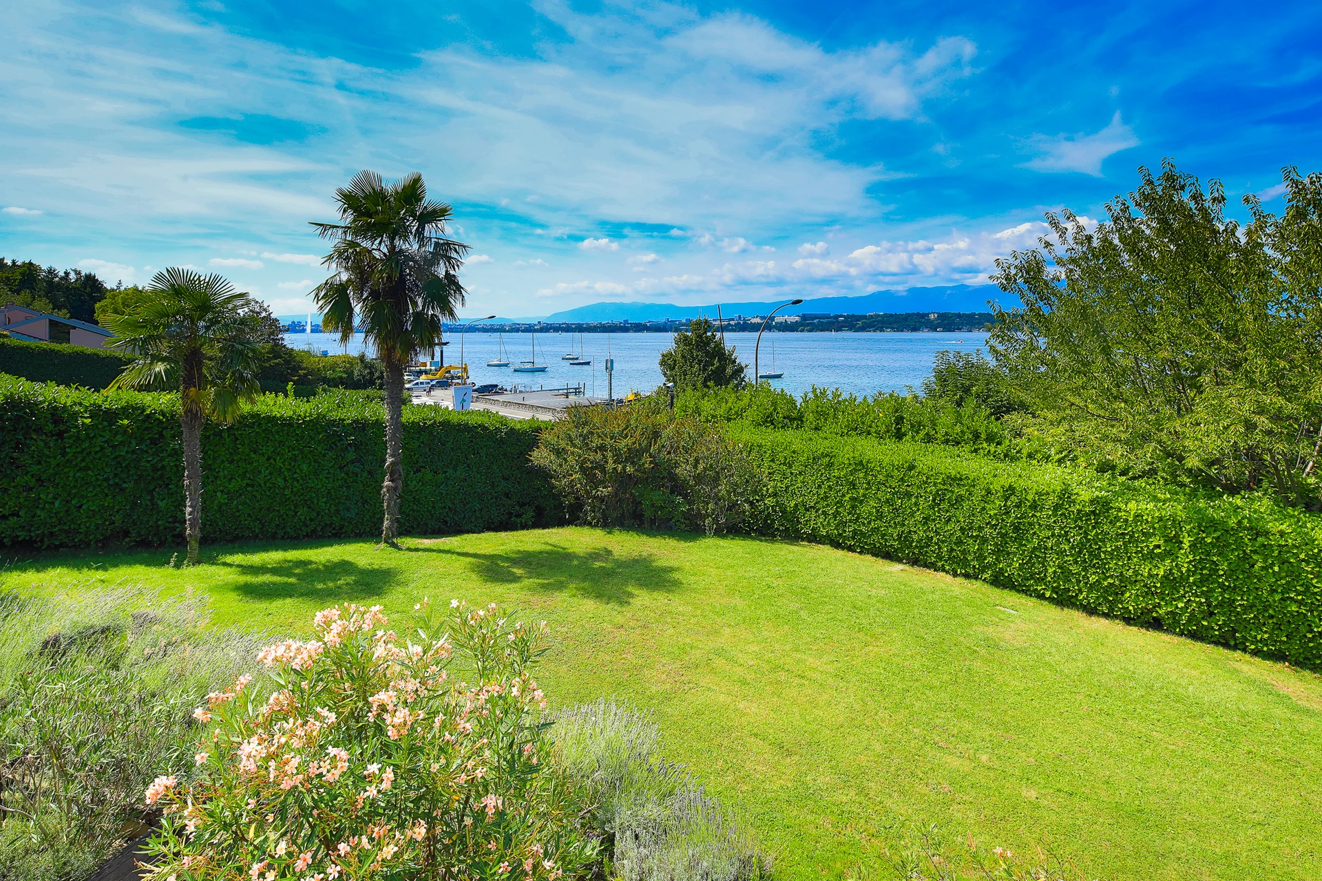 Pelouse et haies taillées devant le lac Léman, palmiers et lauriers-roses