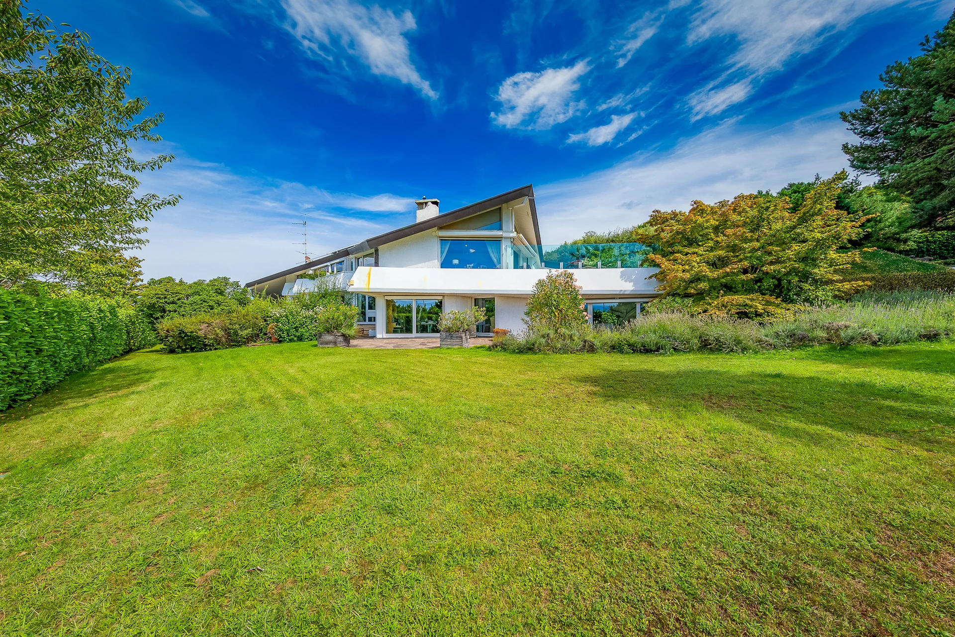 Grande pelouse d'une villa contemporaine bordée d'arbres et de lavandes