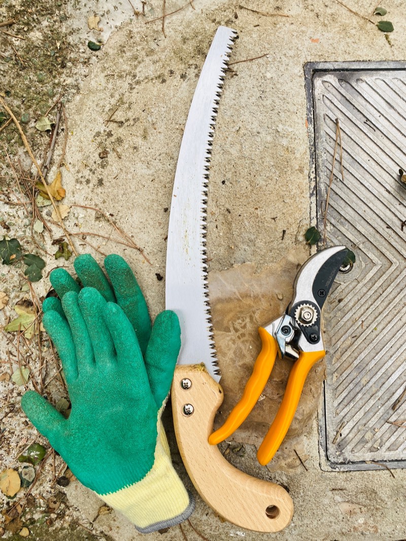 Scie d'élagage, sécateur et gants posés au sol